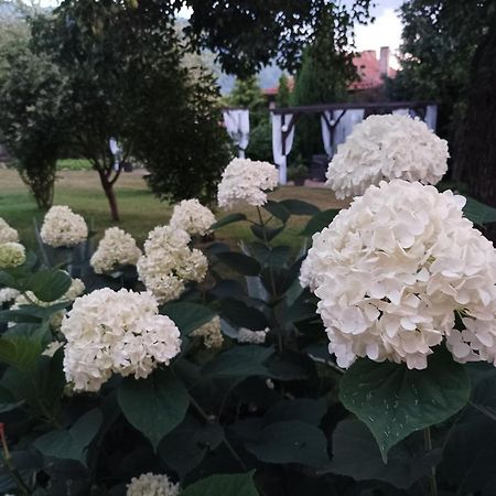 Guesthouse Dida Сапарева-Баня Экстерьер фото