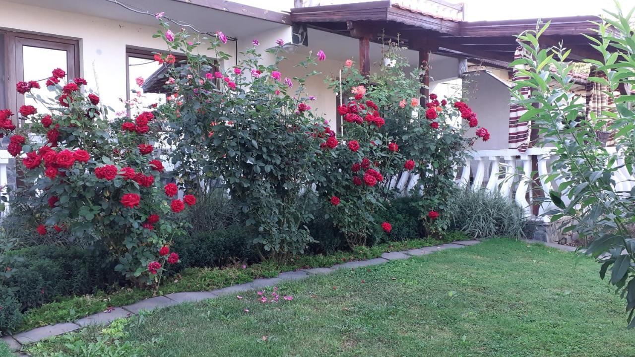 Guesthouse Dida Сапарева-Баня Экстерьер фото