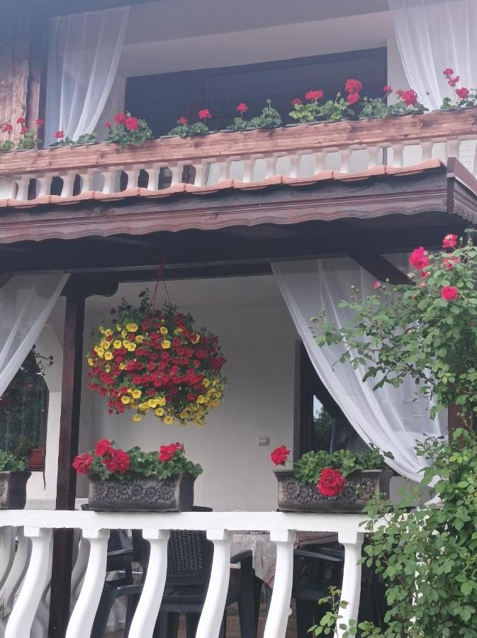 Guesthouse Dida Сапарева-Баня Экстерьер фото