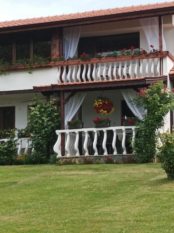 Guesthouse Dida Сапарева-Баня Экстерьер фото