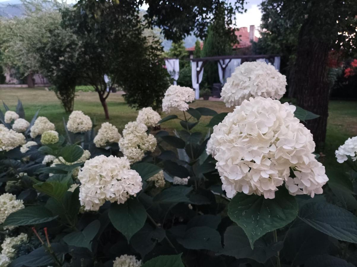 Guesthouse Dida Сапарева-Баня Экстерьер фото