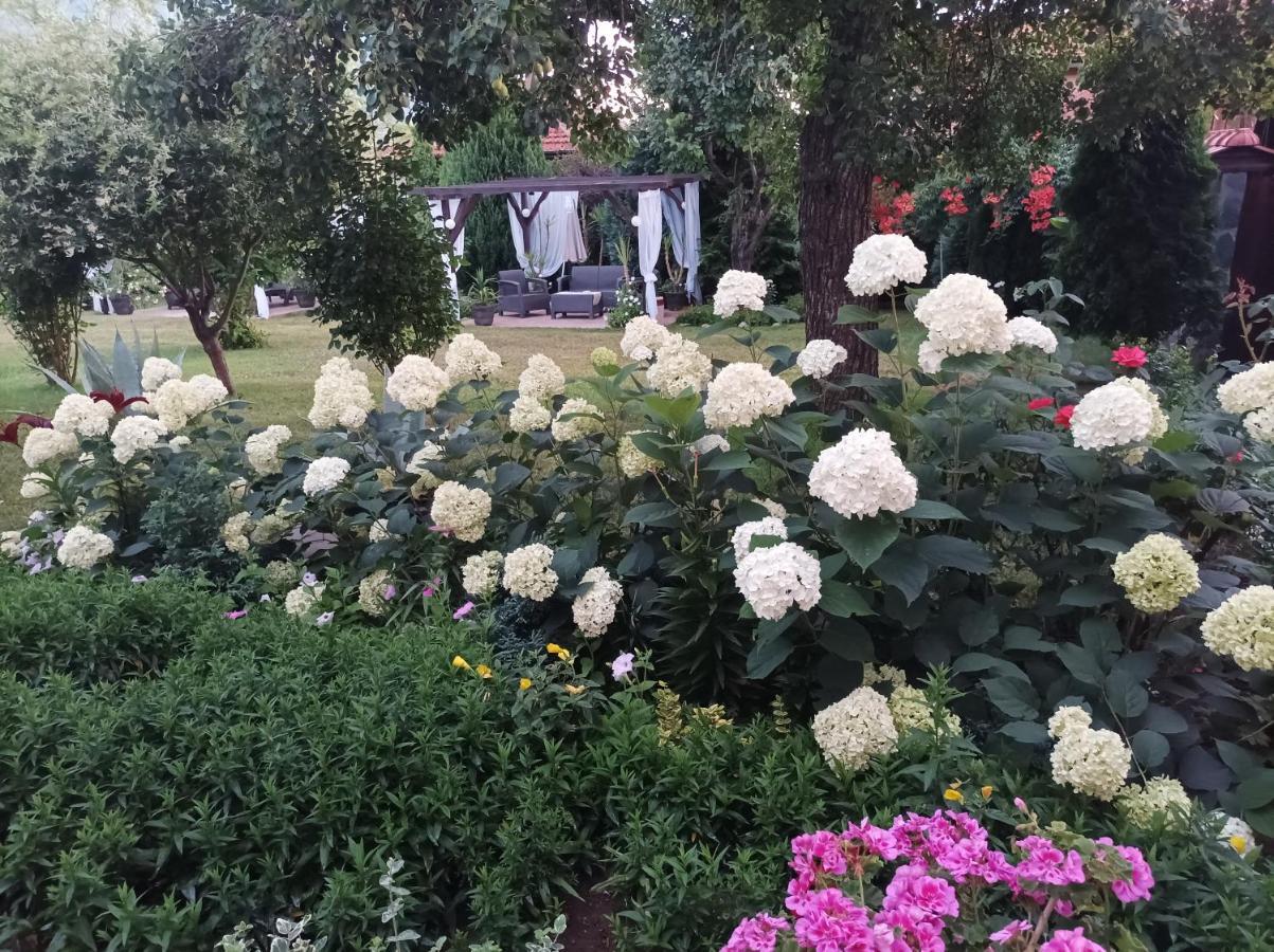 Guesthouse Dida Сапарева-Баня Экстерьер фото